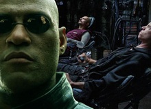 The Matrix: Ma trận là ảo, nhưng tại sao chết trong ma trận thì cũng "ngỏm" luôn trong thực tế?