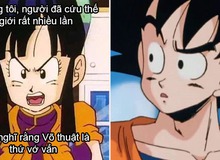 Dragon Ball: Vợ chồng Goku và Chichi trở thành bể muối để fan chế meme hài hước