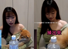 Nữ streamer âu yếm cún cưng trên sóng rồi suýt bị tụt áo lộ vòng một, cộng đồng mạng khen ngợi "Làm tốt lắm chú cún"