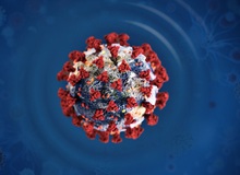 [Infographic] 13 tin đồn sai sự thật về virus corona: WHO giải thích tại sao chúng đều phản khoa học