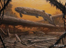 Rhizodus Hibberti: Loài cá quái vật thời tiền sử, sinh vật bá chủ vùng nước ngọt