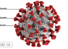 Game có thể giúp chống lại virus corona