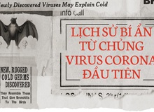 Lịch sử bí ẩn của họ virus corona: Từ cơn cảm lạnh thông thường đến những đại dịch toàn cầu
