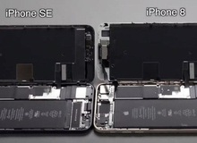 Cận cảnh "nội thất" iPhone SE mới: Gần như giống hệt iPhone 8, đến mức có thể đổi linh kiện cho nhau