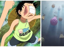 One Piece: Bên cạnh Gomu Gomu no Mi thì đây là 5 trái ác quỷ sẽ mang đến sức mạnh vượt trội cho Luffy Mũ Rơm