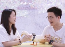 Huawei bất ngờ thông báo đã phát triển thành công “máy dịch ngôn ngữ động vật”