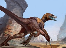 Tìm hiểu về Deinonychus: Loài khủng long sở hữu cú đá chết người