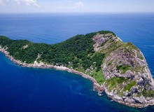 Hòn đảo nguy hiểm nhất thế giới: Quê nhà của hơn 400 nghìn con rắn, lỡ đặt chân vào xem như không có đường ra