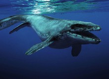 Những thủy quái đại dương dữ dằn nhất lịch sử tiến hóa, siêu cá mập gặp cũng "tắt điện"