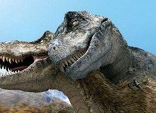 Nghiên cứu mới cho thấy khủng long bạo chúa Tyrannosaurus dựa vào giác quan thứ sáu để "yêu"?