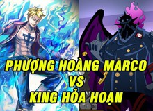 One Piece: 4 lý do cho thấy Marco là đối thủ "hoàn hảo" của King, liệu Phượng Hoàng có "bón hành" được Khủng Long?
