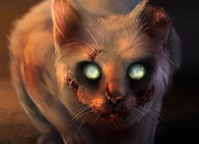 Quỷ miêu: Loại tà thuật đầy ám ảnh dựa trên loài mèo