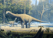 Top 5 điều thú vị mà có thể bạn chưa biết về khủng long Sauropod
