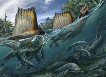 Top 5 điều thú vị xoay quanh Spinosaurus - kẻ săn mồi đáng sợ ngang cơ cả T-REX
