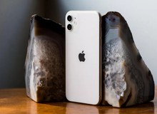 iPhone 12 sẽ có phiên bản rẻ bất ngờ, giá thấp hơn cả iPhone 11?