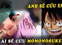 One Piece: Buổi hành quyết của Momonosuke giống Ace, liệu con trai Oden có được cứu thoát?