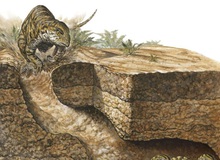 Phát hiện loài khủng long sống dưới lòng đất 100 triệu năm trước