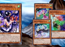 Nếu bạn nghĩ Harpie Lady của Mai trong Yu-Gi-Oh! yếu thì lầm rồi đấy, coi cách cao thủ sử dụng đây này