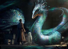 Harry Potter: Top 5 loại "thú cưng" mà các phù thủy không nên nuôi