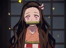 Kimetsu no Yaiba: Tại sao Nezuko phải ngậm ống tre mà không phải thứ khác?