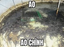 Meme "ao chình" là gì và vì sao nó lại trở nên nổi tiếng với game thủ Việt?