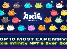Top 10 vật phẩm Axie Infinity đắt nhất từng được bán (P.1)