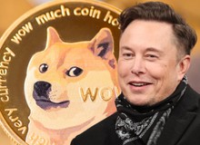 Elon Musk nói 1 câu, Dogecoin bay tung nóc, vốn hóa tăng 8 tỷ USD