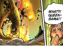 One Piece: Cứu gái xinh giống như Zoro, liệu anh chàng tóc vàng Sanji có gặp được may mắn?
