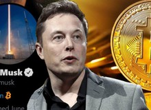 Elon Musk viết 8 chữ, Bitcoin lập tức quay đầu tăng điểm thần kỳ