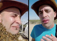 Làm thử thách để 3.000 con ong quây kín mặt, rồi thử "nọc độc" của ong bắp cày, nam YouTuber nhận cái kết đắng ngắt