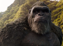 Vì sao trước đây Godzilla chưa từng "dằn mặt" Kong dù cả 2 đã cùng tồn tại trên Trái Đất trong nhiều thập kỷ qua?