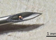 Con chip nhỏ nhất thế giới, nằm gọn trong mũi kim để tiêm vào cơ thể