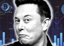 Elon Musk thông báo chia tay Bitcoin, nhà đầu tư tiền số lại 'toát mồ hôi hột'