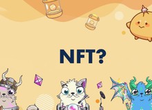 Những lý do khiến game NFT được dự báo sẽ là trào lưu "sớm nở tối tàn" đối với game thủ Việt