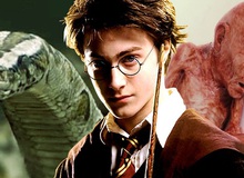 Tiết lộ lý do cực đen tối khiến Harry Potter bị cả nhà Dursley hành hạ: Bằng chứng được sắp đặt từ tập 1 mà không ai phát hiện?