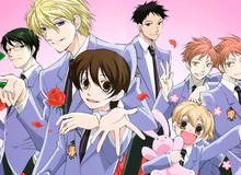 Top 7 anime "reverse harem" hay nhất mà bạn nên xem một lần trong đời, khi các chàng trai cùng theo đuổi 1 cô gái