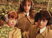 Diễn viên Harry Potter tiết lộ thù lao bất ngờ sau 20 năm: Gần bằng Emma Watson với chỉ 3 phút lên hình!