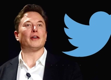 Elon Musk lên nắm quyền, Twitter Gaming gần như dừng hoạt động