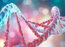 Các nhà khoa học phát hiện ra những gen mới, cho thấy con người vẫn đang tiến hóa!