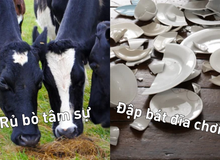 Những cách đón Tết kỳ lạ trên khắp thế gian: Người đập bát đĩa, kẻ nói chuyện với bò
