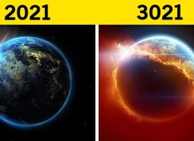 Trái Đất sẽ ra sao nếu như nhân loại biến mất 1000 năm?