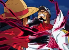 One Piece: Akainu hay Râu Đen, ai mới xứng đáng là trùm cuối đối đầu với Luffy Mũ Rơm?