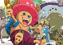 Bác sĩ của băng Mũ Rơm và 4 động vật biết nói tiếng người trong thế giới One Piece