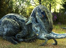 Hành trình của nàng khủng long được ví là "sinh vật thông minh thứ hai trên hành tinh" trong Jurassic World
