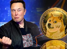 Elon Musk bị kiện tại Mỹ vì liên quan đến Dogecoin