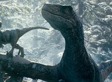 Hé lộ sự thật bất ngờ về dàn khủng long trong hậu trường Thế Giới Khủng Long: Lãnh Địa