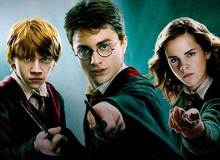 Giải mã sức hút mãnh liệt từ thương hiệu Harry Potter dù đã ra mắt cả 2 thập kỷ