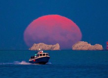 Ngắm siêu trăng "cá tầm" tỏa sáng khắp thế giới