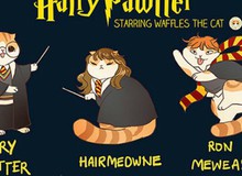 Khi các nhân vật nổi tiếng biến hóa thành mèo ú: Harry Potter hay công chúa Disney đều dễ thương miễn bàn