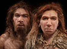 Tại sao người Neanderthal lại thất bại trong cuộc chiến sinh tồn?